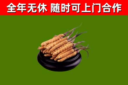 衡南烟酒回收冬虫夏草.jpg
